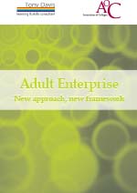 Adult Enterprise 1 front cover